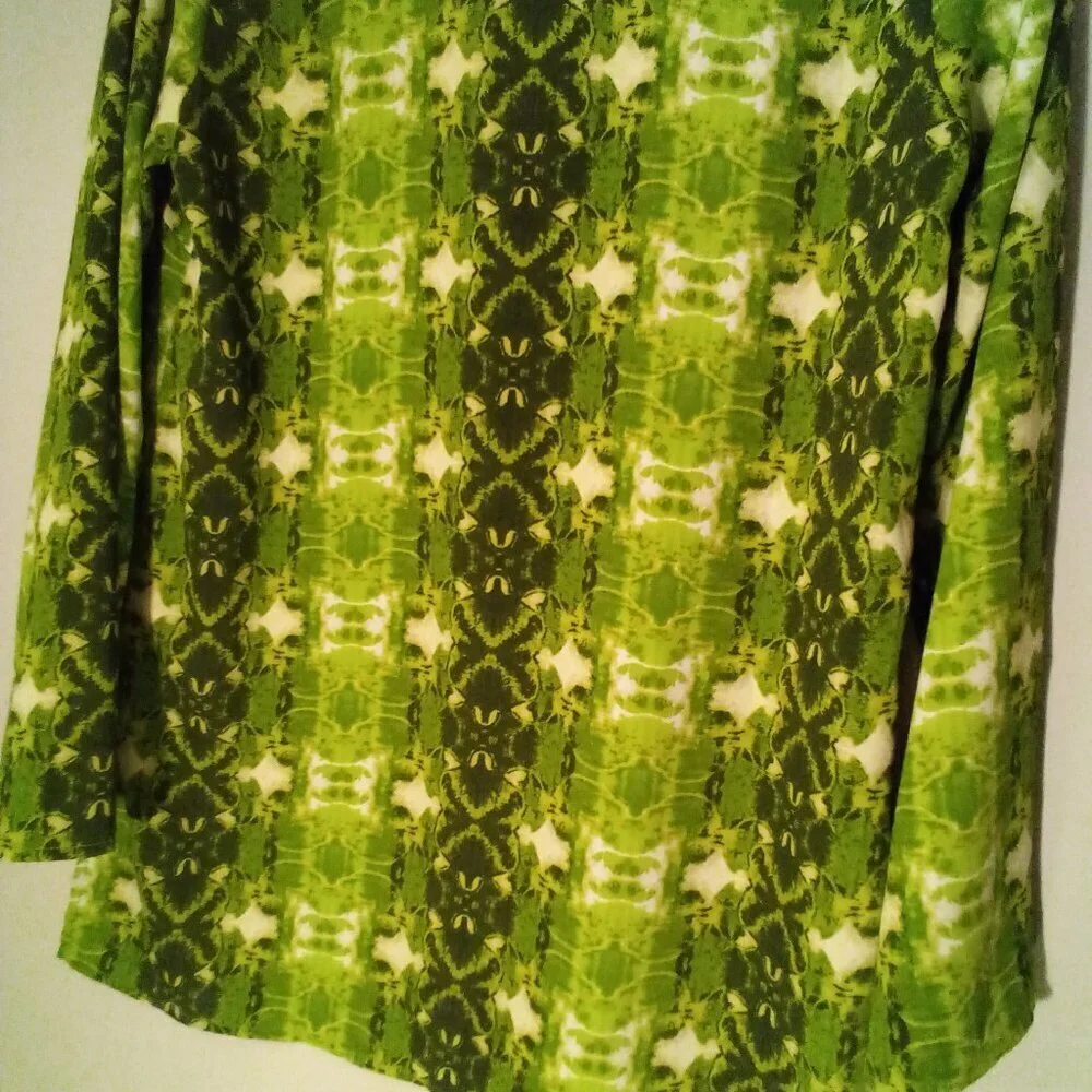 Linea by Louis Dell'Olio Shirt Tunic Women S Long Sleeve Tassel Pattern Green
